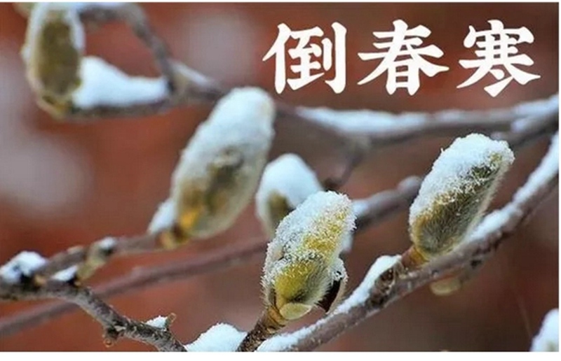 倒春寒來了！(圖1)
