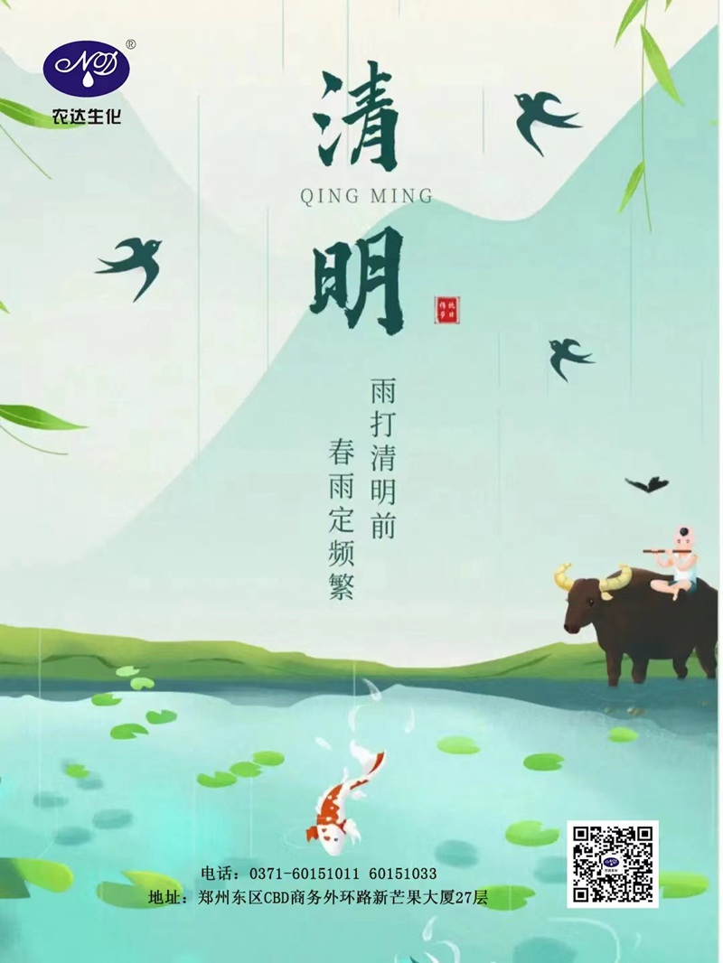 清明——懷念逝去，珍惜當(dāng)下。(圖1)