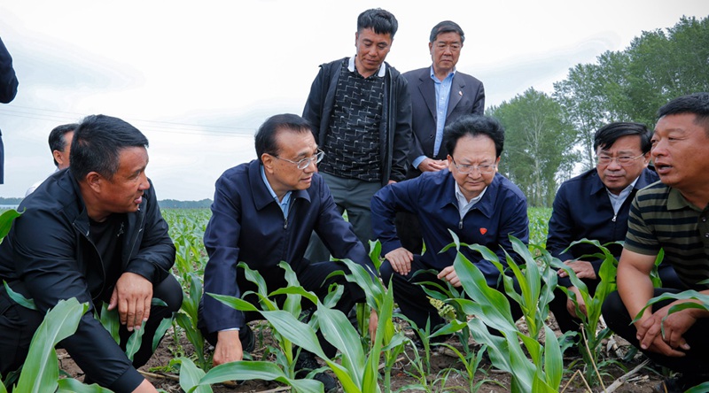 重磅！農(nóng)資上漲不要怕，補貼來了！(圖1)