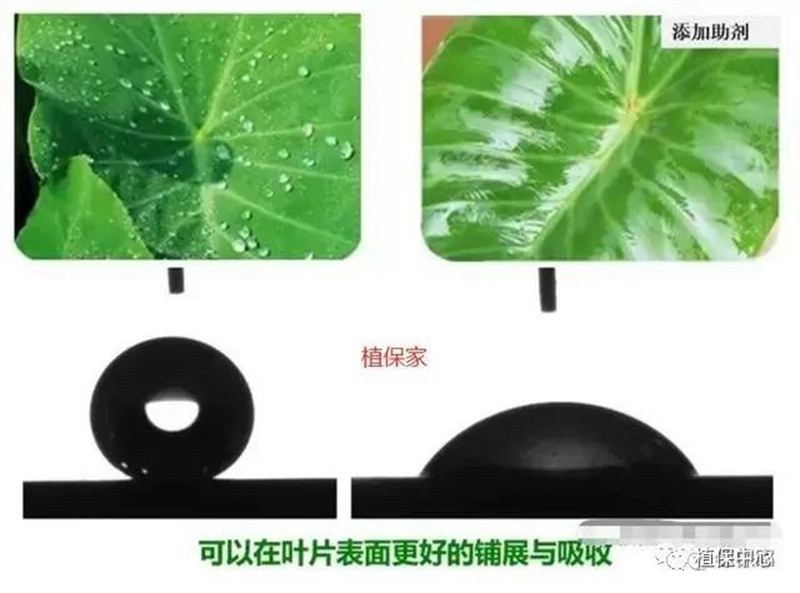 農藥成分和含量一模一樣，為啥效果差別那么大？(圖2)
