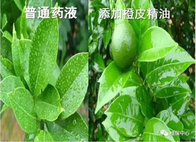 農藥成分和含量一模一樣，為啥效果差別那么大？(圖3)